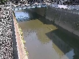 ���g���t�߂̉摜
