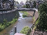 ���㋴�t�߂̉摜