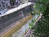 �h���t�߂̉摜