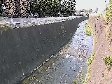 �V�O�֋��t�߂̉摜