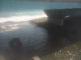 �g�c���t�߂̉摜
