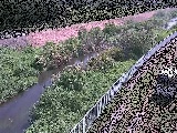��c���t�߂̉摜