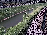 �������t�߂̉摜