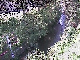 �������t�߂̉摜