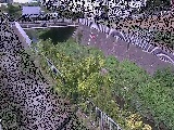 �i�r���t�߂̉摜