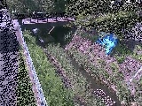 �����t�߂̉摜