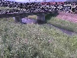 ���͌����t�߂̉摜