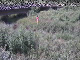 ���苴�t�߂̉摜
