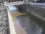 ���g���t�߂̉摜