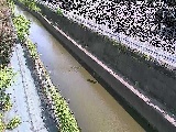 �������t�߂̉摜