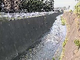 �V�O�֋��t�߂̉摜