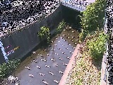 ���C���t�߂̉摜