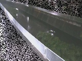 �x�m�����t�߂̉摜