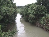 �C�V�������H�t�߂̉摜