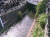 ���C���t�߂̉摜