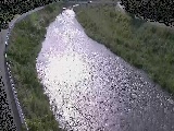 �ω����t�߂̉摜