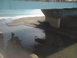 �g�c���t�߂̉摜