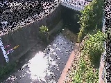 ���C���t�߂̉摜