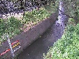 �������t�߂̉摜