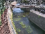 ���R���t�߂̉摜