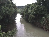 �C�V�������H�t�߂̉摜
