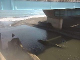 �g�c���t�߂̉摜