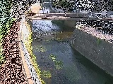 ���R���t�߂̉摜