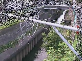 ���a���t�߂̉摜