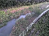 ��c���t�߂̉摜