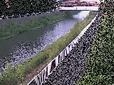 �V�ߗ䋴�t�߂̉摜