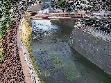 ���R���t�߂̉摜