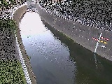 ��y�I�V���t�߂̉摜