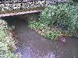 �V�������t�߂̉摜
