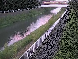 �V�ߗ䋴�t�߂̉摜