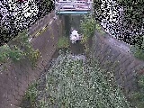 ��Ë��t�߂̉摜