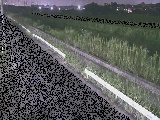 �˒����t�߂̉摜