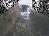 ��Ë��t�߂̉摜