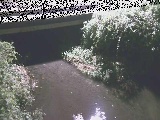 �V�������t�߂̉摜
