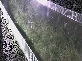 �����t�߂̉摜