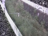 �����t�߂̉摜