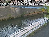 �鏠���t�߂̉摜