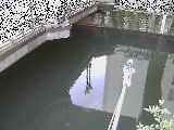 ���߉����t�߂̉摜