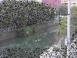 �΍苴�t�߂̉摜