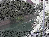 �΍苴�t�߂̉摜