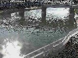 �x����t�߂̉摜