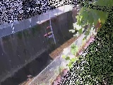 �h���t�߂̉摜