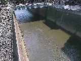 ���g���t�߂̉摜