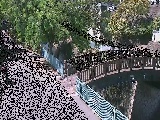 ���c�l�����t�߂̉摜