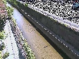 �������t�߂̉摜
