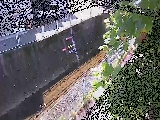 �h���t�߂̉摜